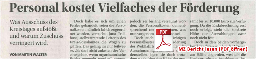 Ein Banner f&uuml;r ein PDF mit einem Presseartikel zur Kooperation zwischen Euroville und K&auml;the Kruse Schule